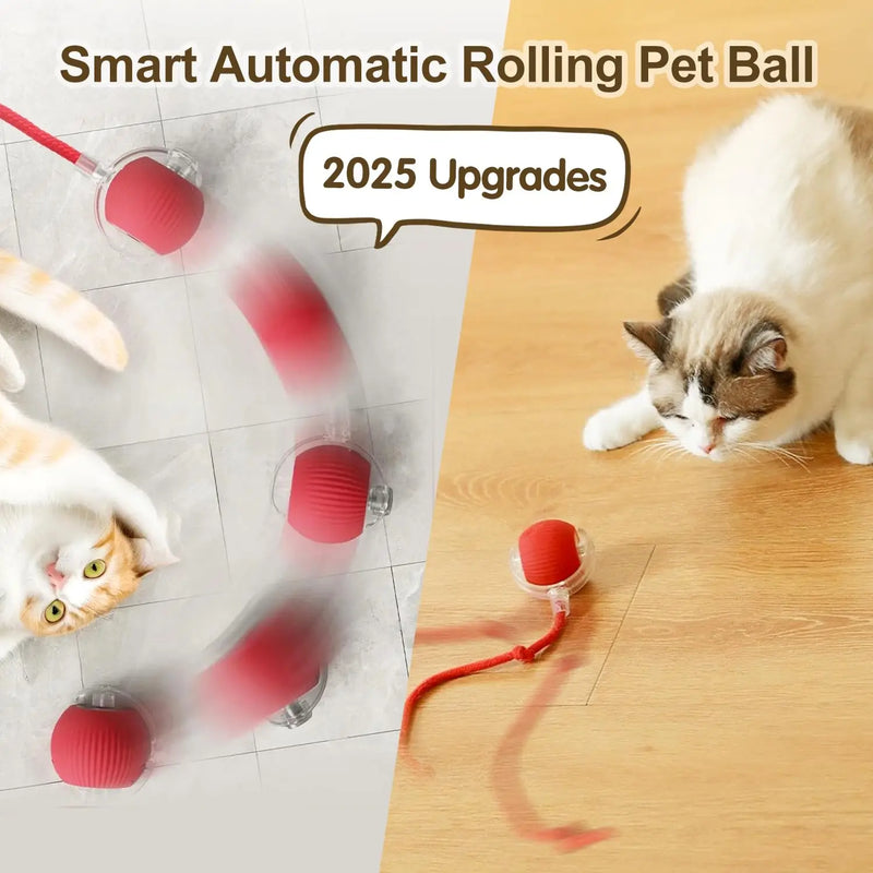 Brinquedo Interativo para Gatos – Bola Automática com Cauda, Recarregável, Brinquedo Inteligente para Estímulo e Diversão